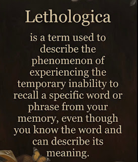 Lethologica meaning