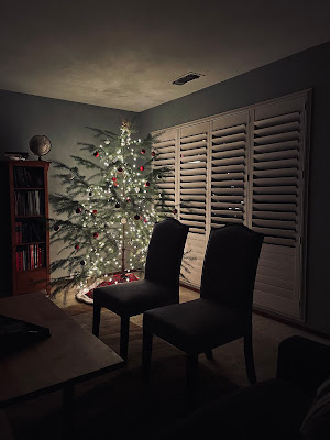 Lit Christmas Tree