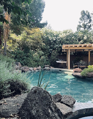 A backyard view of a pool