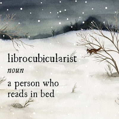 What is a Librocubicularist? A definition of the word Librocubicularist